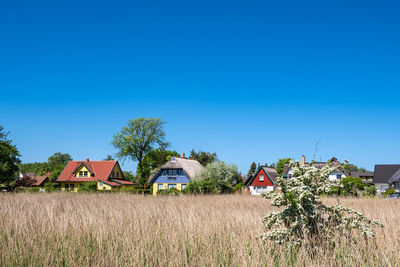 Houses on field against clear blue sky