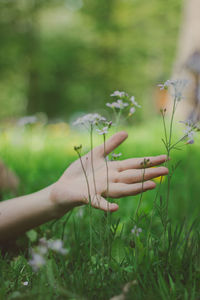 Close-up of hand on grassy field