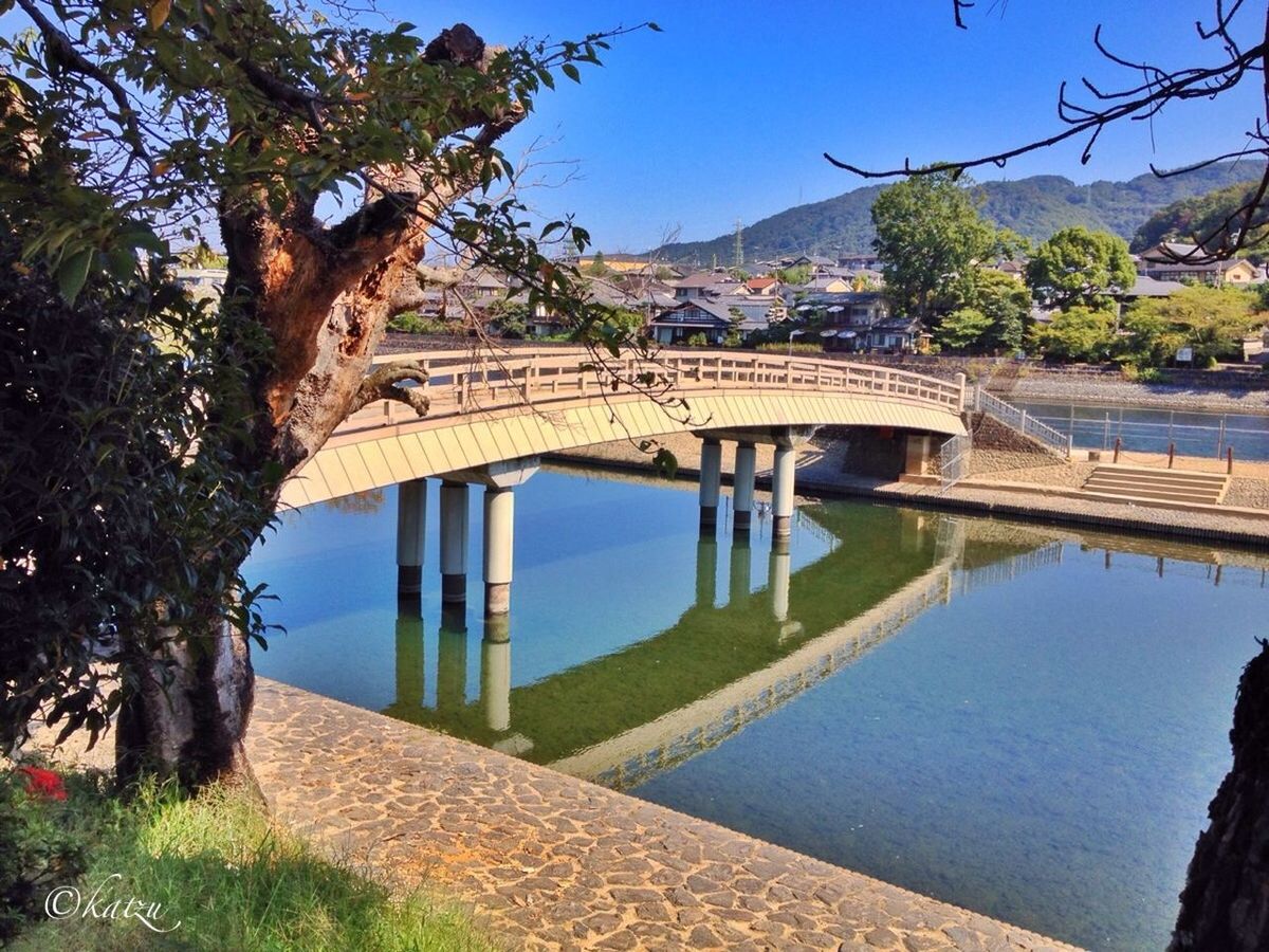 built structure, architecture, tree, water, clear sky, connection, bridge - man made structure, building exterior, blue, sunlight, shadow, railing, bridge, plant, river, day, growth, nature, sky, outdoors