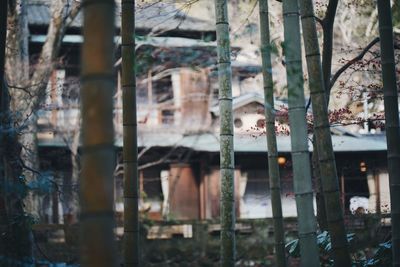 Close-up of abandoned building
