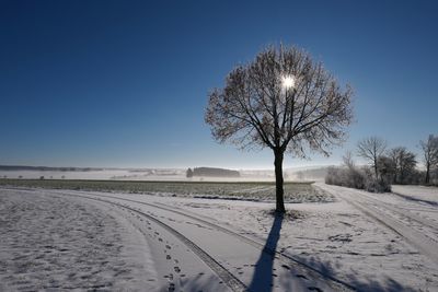 Bare tree on snowy field against clear sky during winter