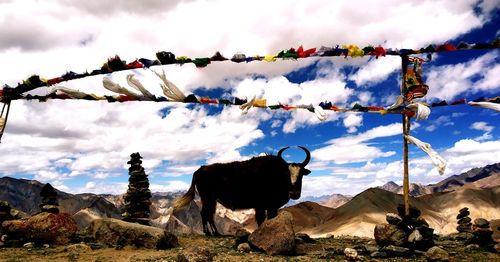 Animal standing over prayer flags against sky