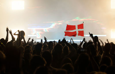 Group of people at music concert