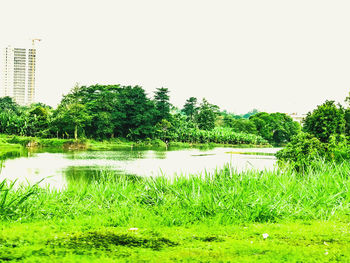 Scenic view of lake against clear sky