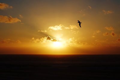 Silhouette bird flying over sea against sky during sunset