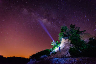 Trees against sky at night