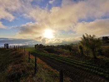 Scenic view of agricultural field against sky during sunset