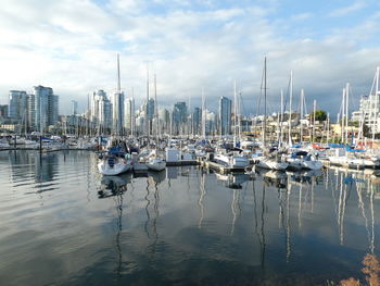 Sailboats moored in harbor