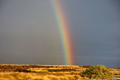 Scenic view of rainbow over field against sky