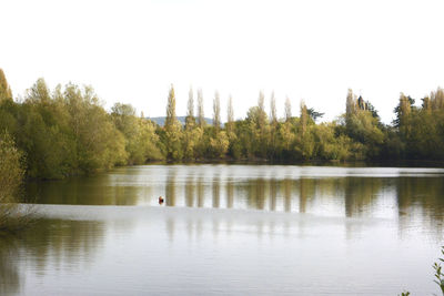 Scenic view of lake against clear sky