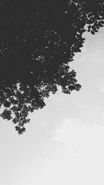 Low angle view of tree against sky