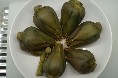 High angle view of flowers in plate