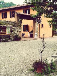 Houses against trees