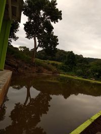 Reflection of trees in lake against sky