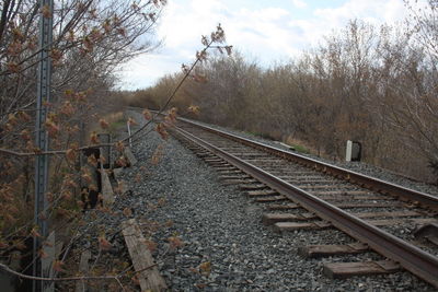 View of railroad tracks along bare trees