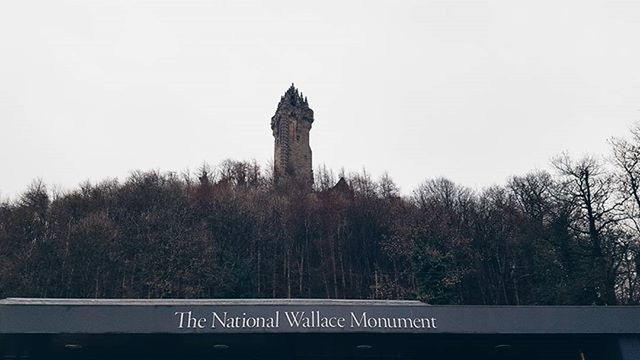 clear sky, tree, text, low angle view, copy space, western script, communication, built structure, architecture, building exterior, no people, sky, outdoors, day, guidance, bare tree, tower, travel destinations, nature, information sign