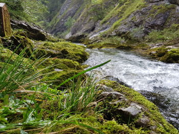 River flowing amidst moss covered rock formations