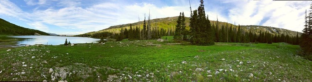 Panoramic view of lake and trees against sky