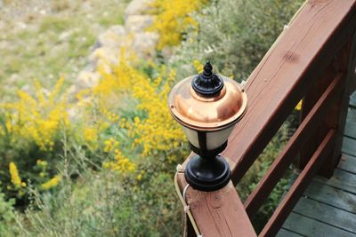 Coin-operated binoculars by trees on field