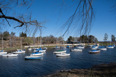 Coast sailboats in the sea