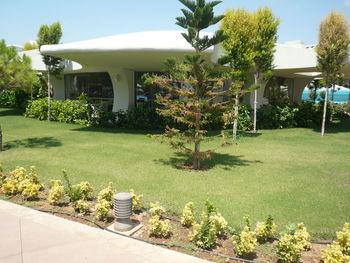 Plants and house in garden