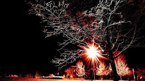 Firework display at night