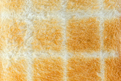 The texture and detail of the white toasted bread is the golden yellow on a white background.