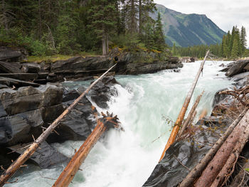 Scenic view of waterfall