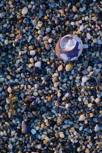 High angle view of pebbles on beach