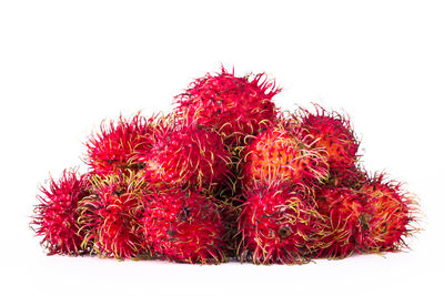 Close-up of red fruit against white background