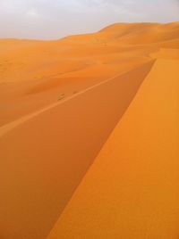 Scenic view of desert