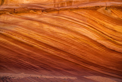 Full frame shot of wood