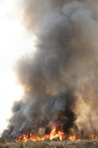 Low angle view of fire on land