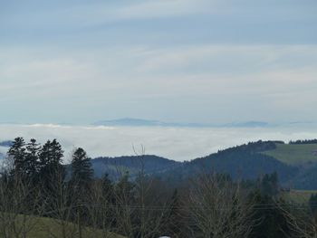 Scenic view of landscape against sky