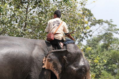 Rear view of man riding