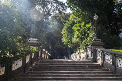 Steps amidst trees and building