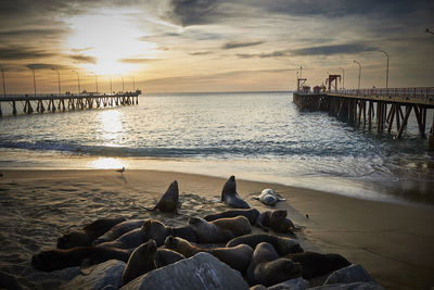 Scenic view of sea against sky during sunset