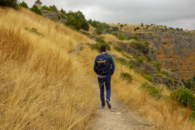 Rear view of man walking on trail