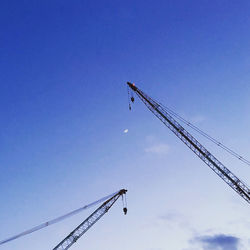 Low angle view of crane against sky