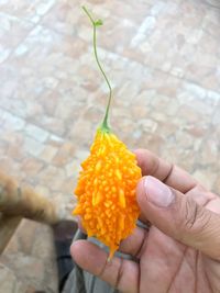 Close-up of hand holding orange