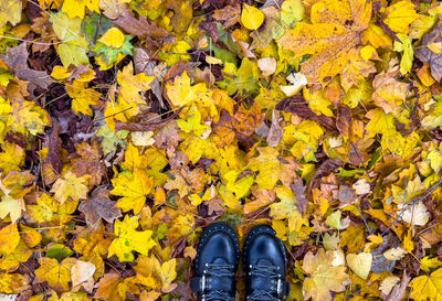 Low section of person standing on autumn leaves