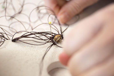 Close-up of insect on hand