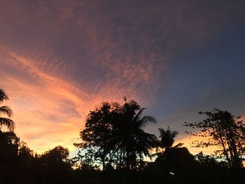 Low angle view of silhouette trees against romantic sky