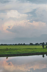 Scenic view of field against sky