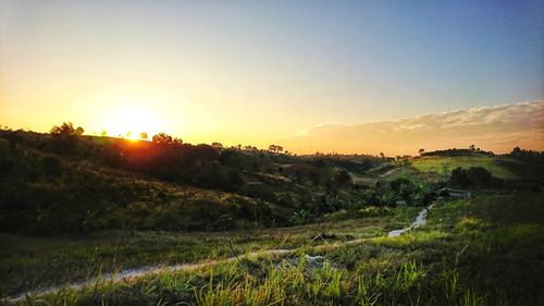 Scenic view of field against sky during sunset