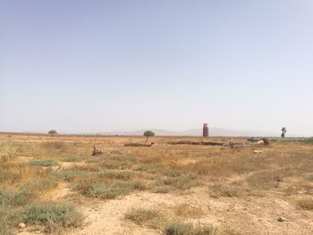 Scenic view of field against clear sky