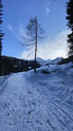 Scenic view of snow covered field against sky