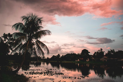 Silhouette palm trees by lake against sky during sunset