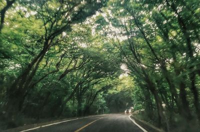 Road passing through trees