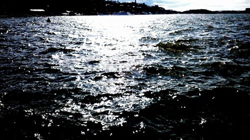 Reflection of trees in water